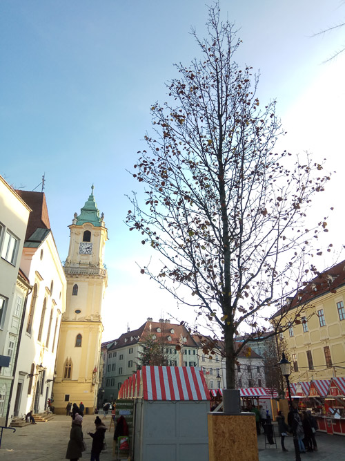 171207_142542.jpg