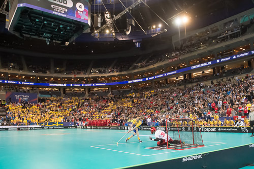 WFC2018: Schweden -Schweiz 181208_11018.jpg