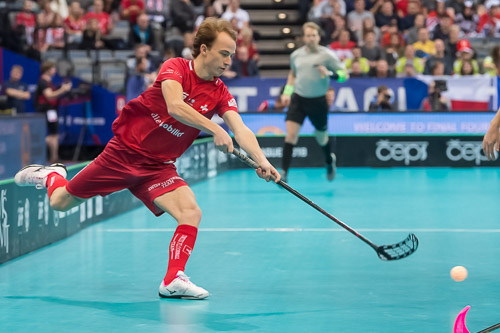 WFC2018: Schweden -Schweiz 181208_26707.jpg