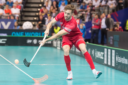 WFC2018: Schweden -Schweiz 181208_26920.jpg