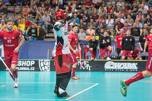 WFC2018: Schweden -Schweiz 181208_27003.jpg