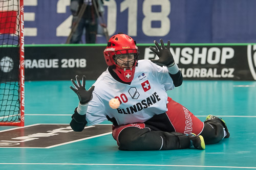 WFC2018: Schweden -Schweiz 181208_27007.jpg