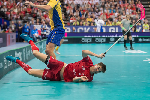 WFC2018: Schweden -Schweiz 181208_27026.jpg