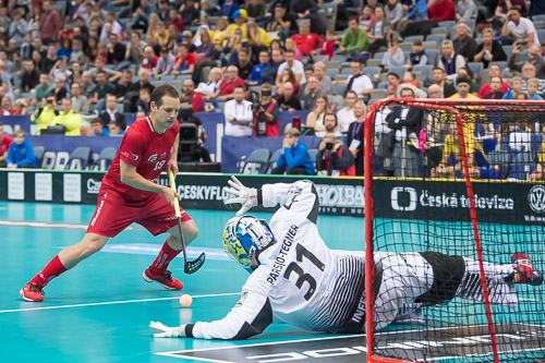 WFC2018: Schweden -Schweiz 181208_27135.jpg