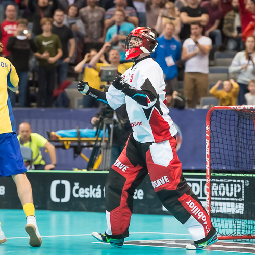 WFC2018: Schweden -Schweiz 181208_27165.jpg