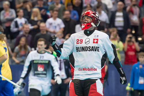 WFC2018: Schweden -Schweiz 181208_27168.jpg