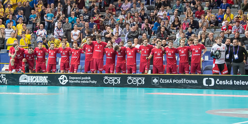 WFC2018: Schweden -Schweiz 181208_27171.jpg