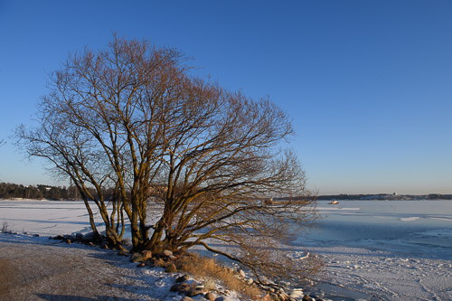 211207_12775.jpg